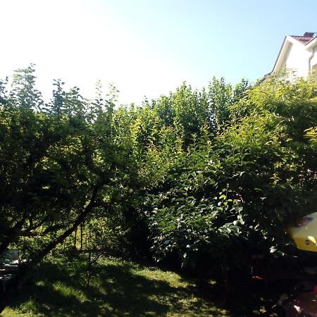 Vila Dudan Ohrid Buitenkant foto