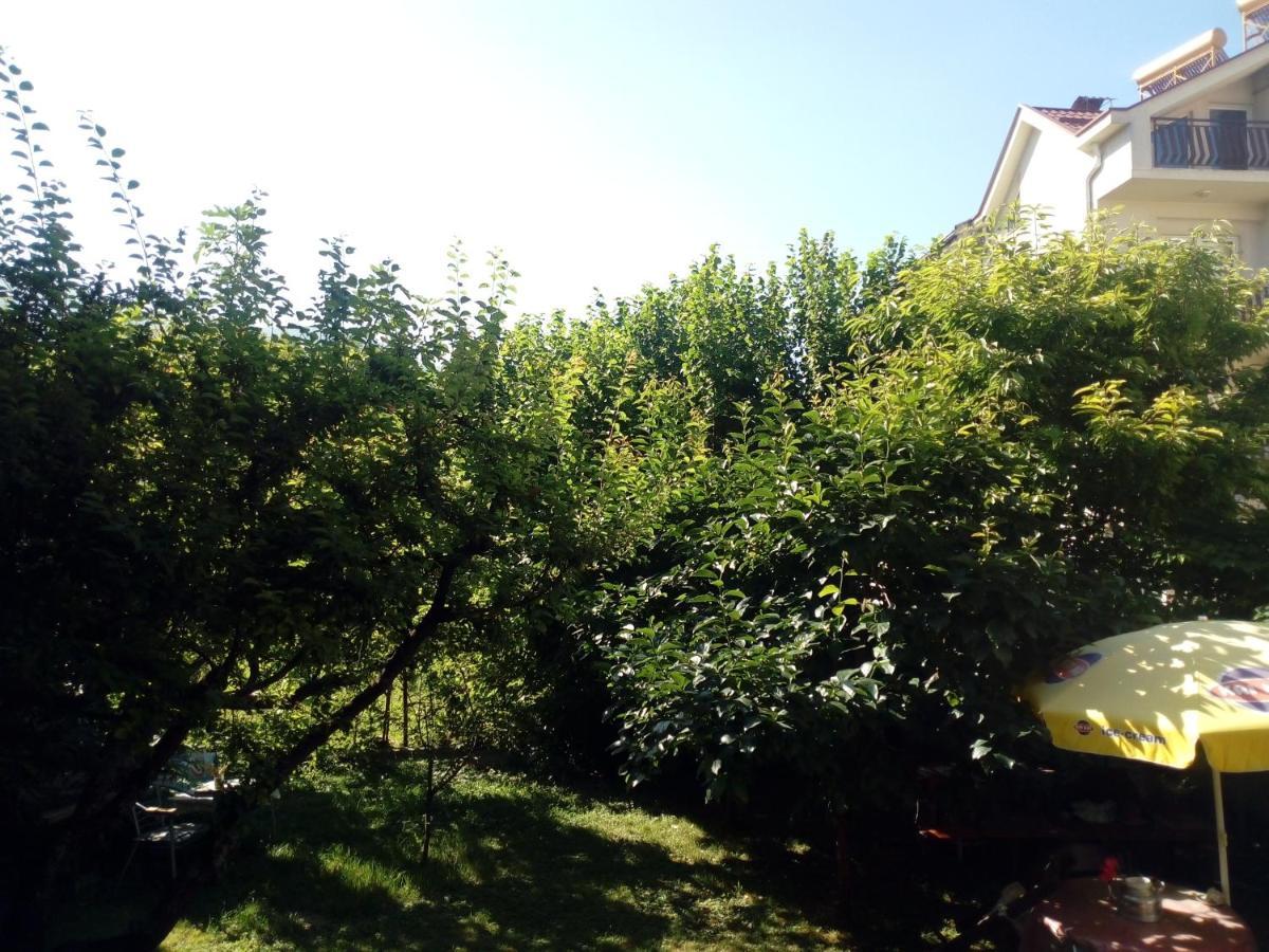 Vila Dudan Ohrid Buitenkant foto